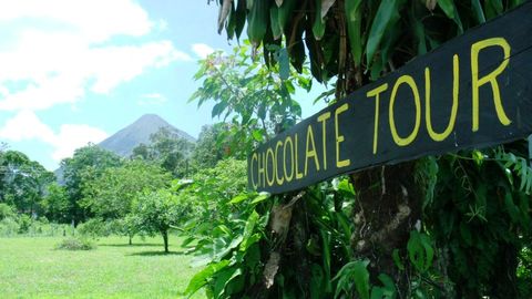 Rainforest Chocolate Tour