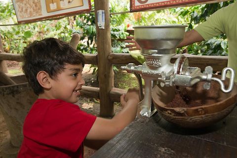 Arenal 3-in-1 Tour Arenal Volcano Costa Rica