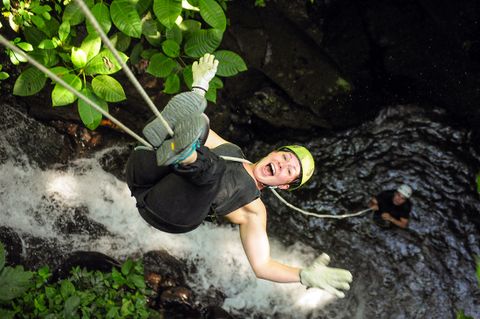 Spider Monkey Canyon Arenal Volcano Costa Rica