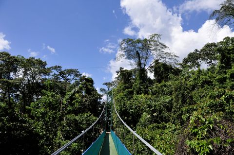 Sky Walk Arenal Volcano Costa Rica