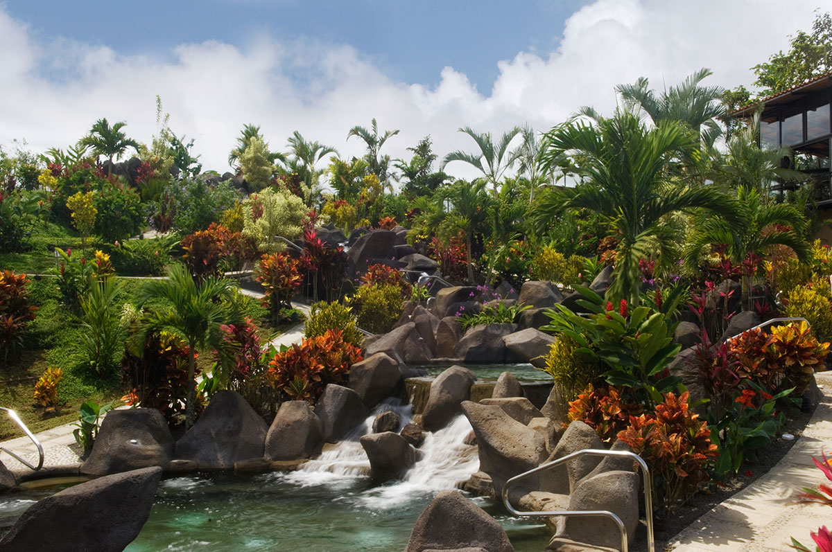 The luscious foliage and luxurious setting of Titoku Hot Springs.