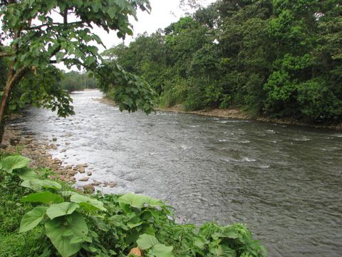 Sarapiqui River Rafting