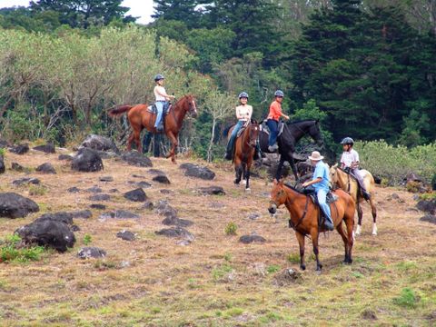 Horseback Arenal Costa Rica